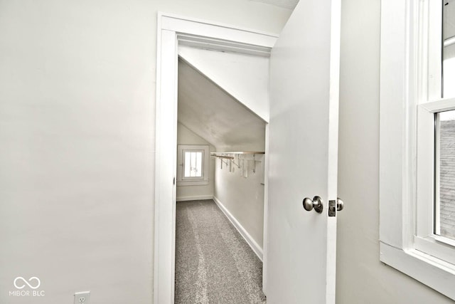 interior space featuring carpet flooring and lofted ceiling