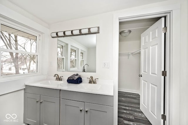 bathroom with hardwood / wood-style floors and vanity