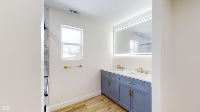 bathroom with hardwood / wood-style floors and vanity