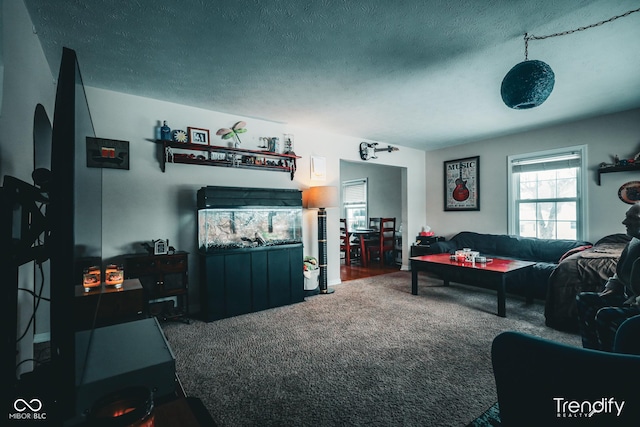 living room featuring carpet flooring and a textured ceiling