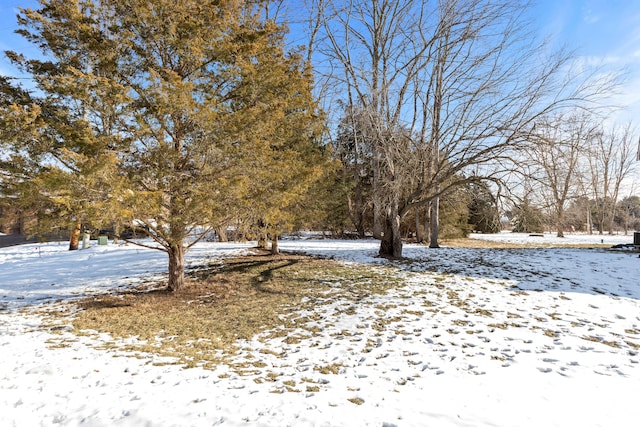 view of yard layered in snow