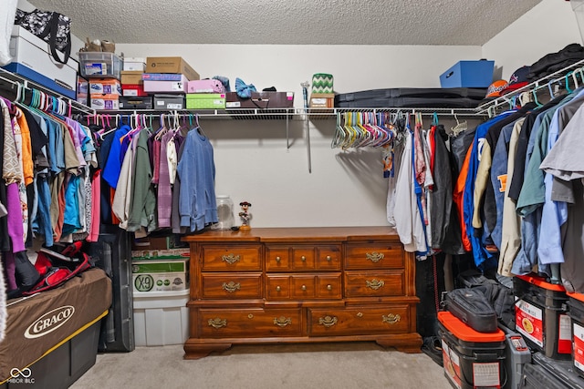 spacious closet with light carpet