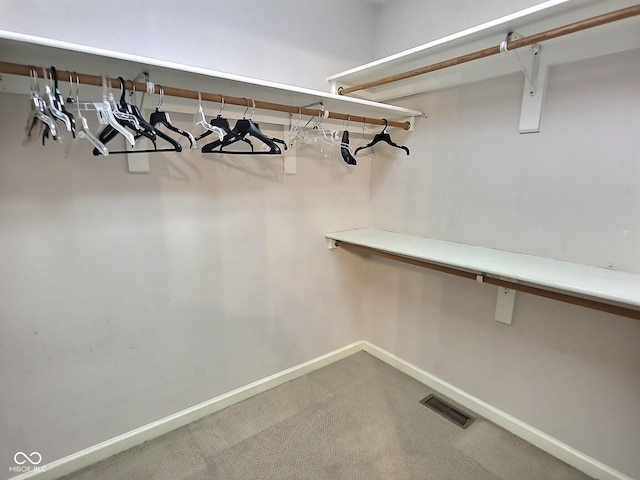 spacious closet with carpet