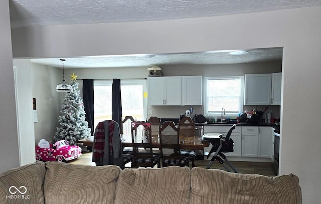 dining space with a textured ceiling, sink, and hardwood / wood-style floors