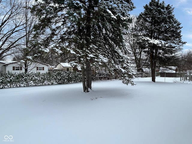 view of yard covered in snow