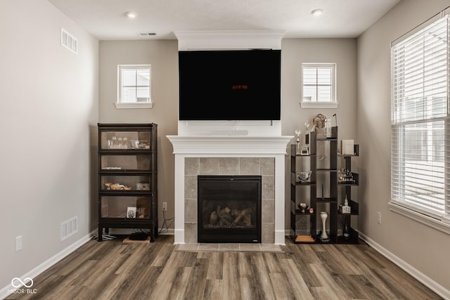 living room featuring a fireplace and dark wood-type flooring