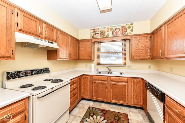 kitchen with stainless steel dishwasher, white range with electric cooktop, and sink