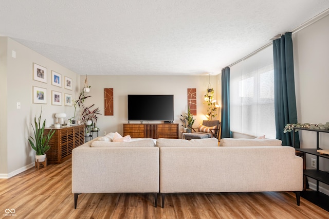 living room featuring hardwood / wood-style flooring and a textured ceiling