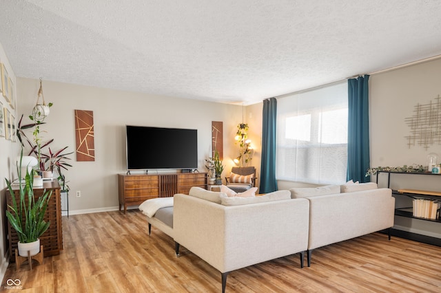 living room with hardwood / wood-style flooring and a textured ceiling