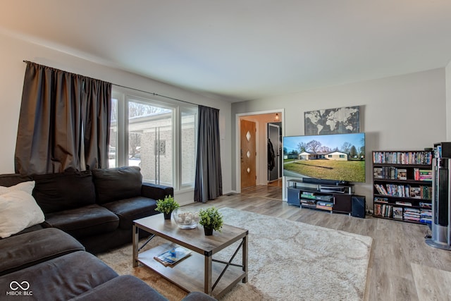 living room featuring hardwood / wood-style floors