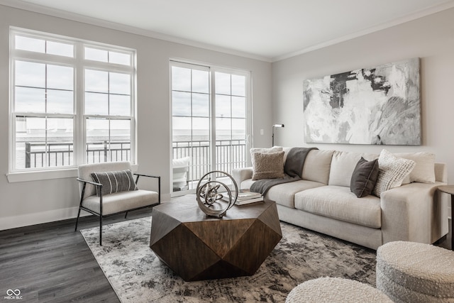 living room featuring crown molding and dark wood-type flooring