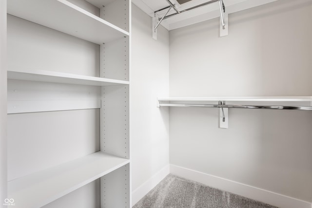 spacious closet featuring carpet