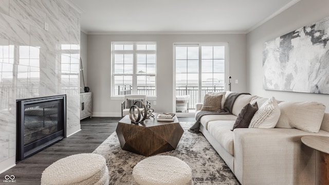 living room featuring a tiled fireplace, dark hardwood / wood-style flooring, and ornamental molding