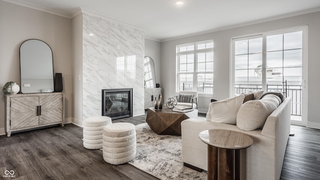 living room featuring dark hardwood / wood-style flooring, a fireplace, and ornamental molding