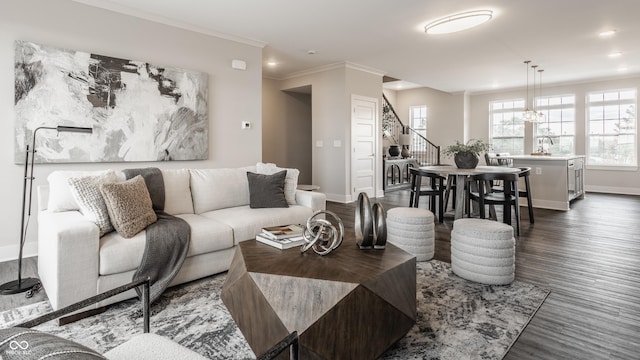 living room featuring dark hardwood / wood-style flooring, ornamental molding, and sink