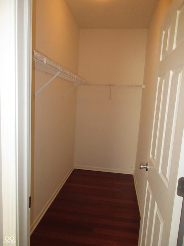 walk in closet featuring dark wood-type flooring