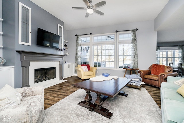 living room with ceiling fan and dark hardwood / wood-style flooring