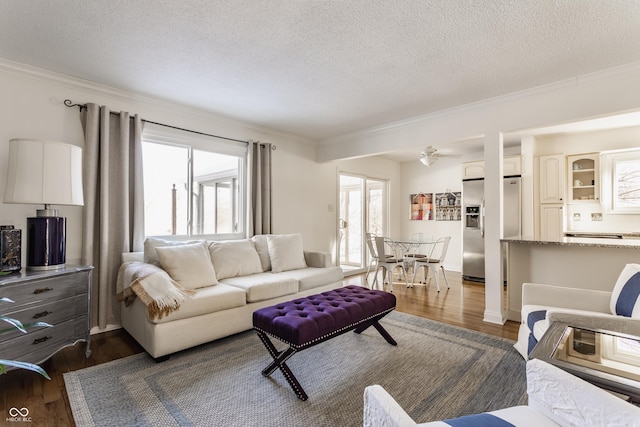 living room with dark wood-type flooring, plenty of natural light, and a textured ceiling