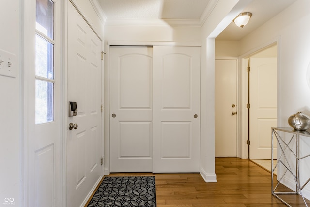 foyer entrance with light hardwood / wood-style flooring