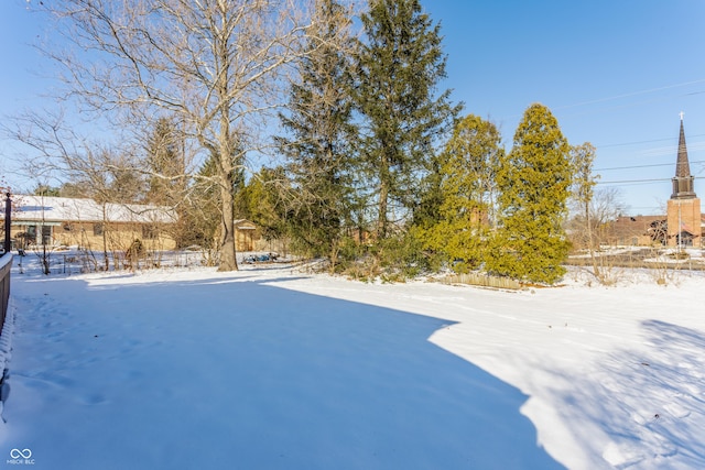 view of yard covered in snow