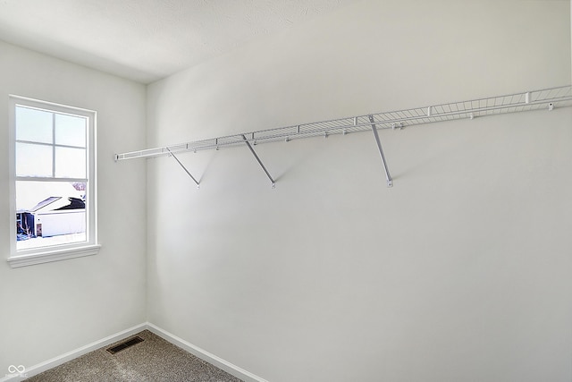 spacious closet featuring carpet