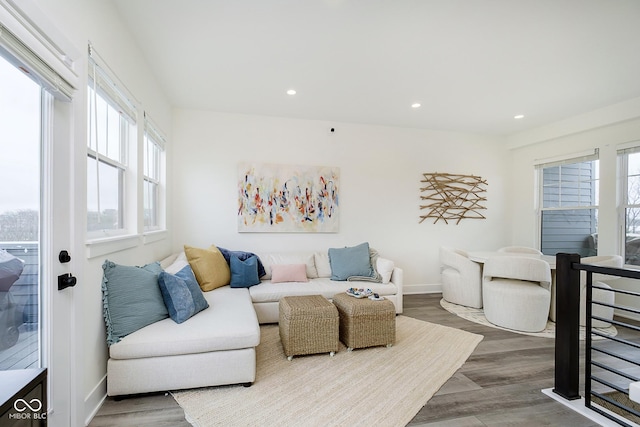 living room featuring wood-type flooring