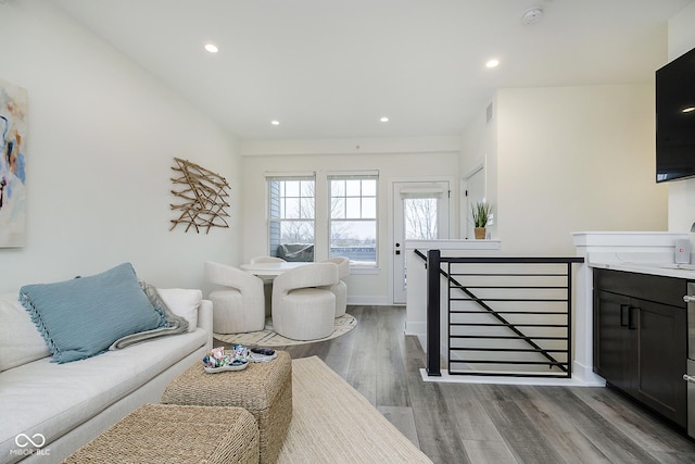 living room with dark hardwood / wood-style flooring