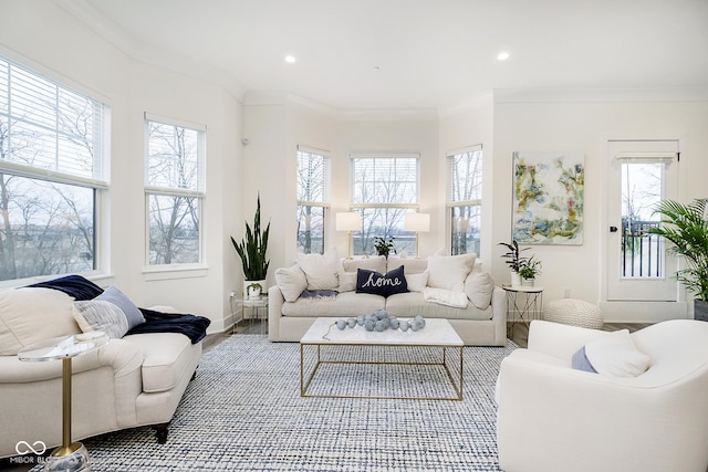 living room with ornamental molding and a healthy amount of sunlight