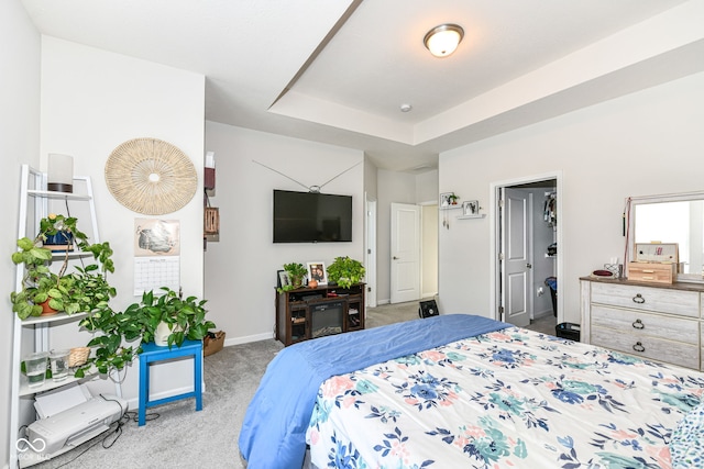 carpeted bedroom featuring a tray ceiling