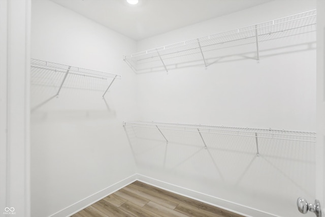 walk in closet featuring wood-type flooring