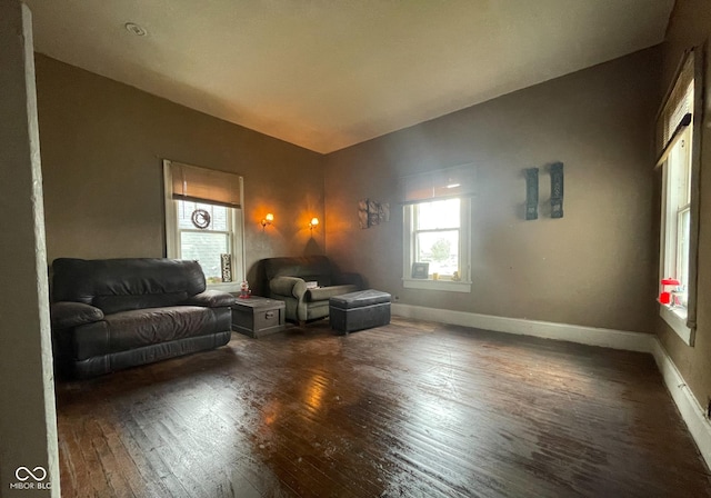 living room featuring dark hardwood / wood-style floors