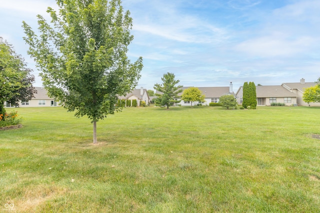 1226 Arlington Dr, Greenfield, IN 46140 - view of grassy yard with a residential view