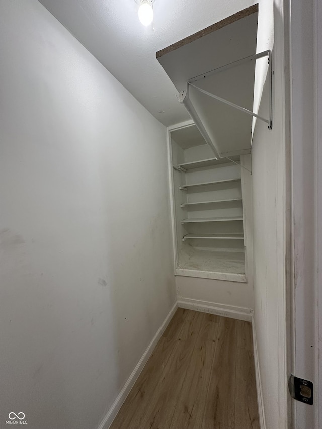 spacious closet featuring wood-type flooring