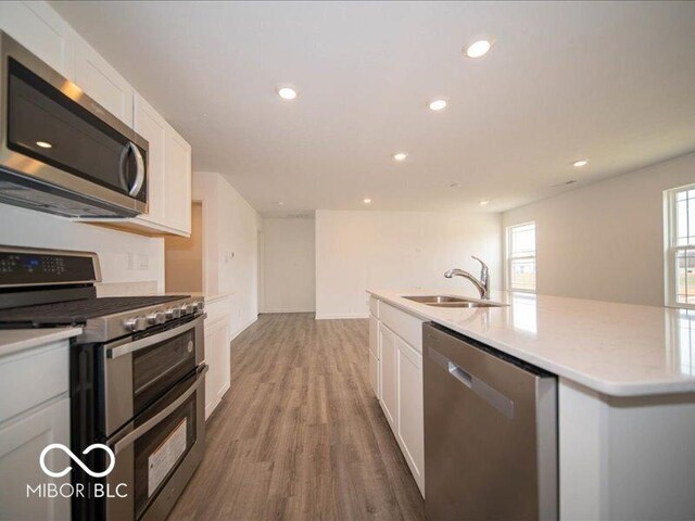 6618 Sulgrove Pl, Indianapolis, IN 46221 - kitchen featuring a sink, white cabinetry, wood finished floors, stainless steel appliances, and recessed lighting