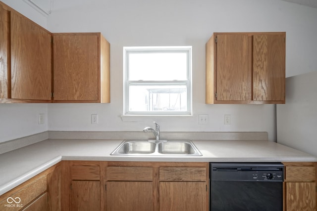 kitchen featuring sink and dishwasher