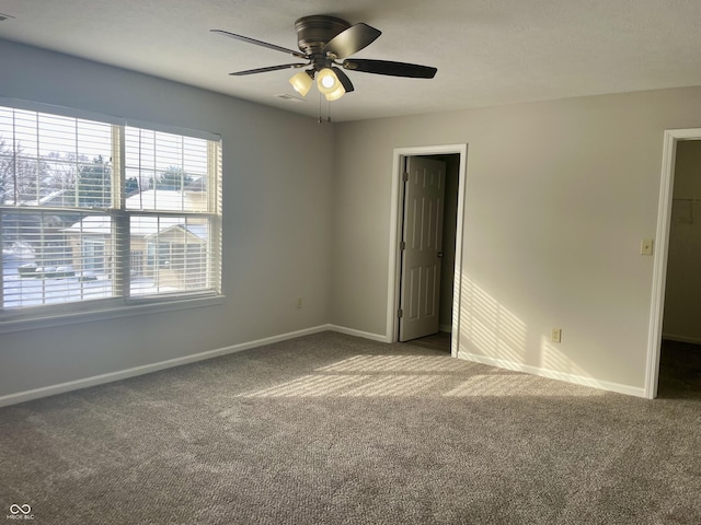 interior space featuring carpet and ceiling fan