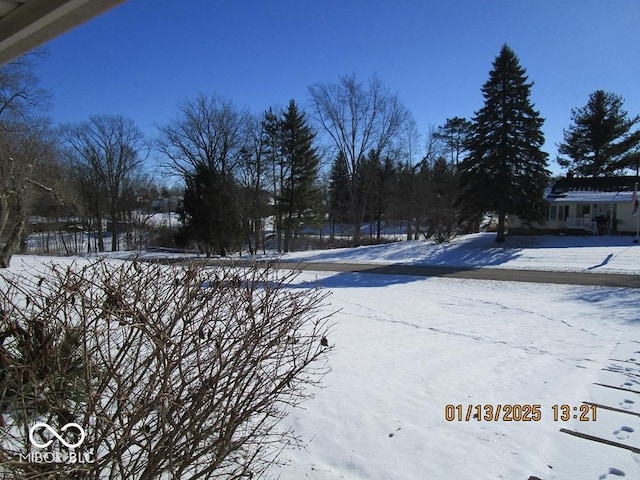 view of yard layered in snow