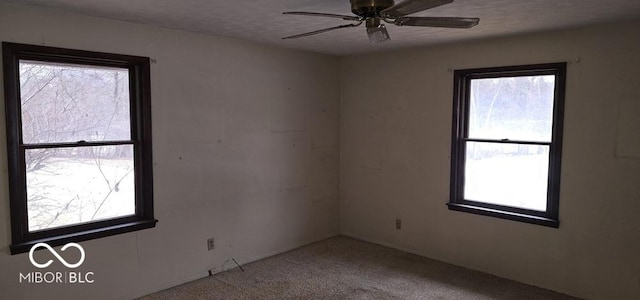 spare room featuring a textured ceiling, ceiling fan, and carpet flooring