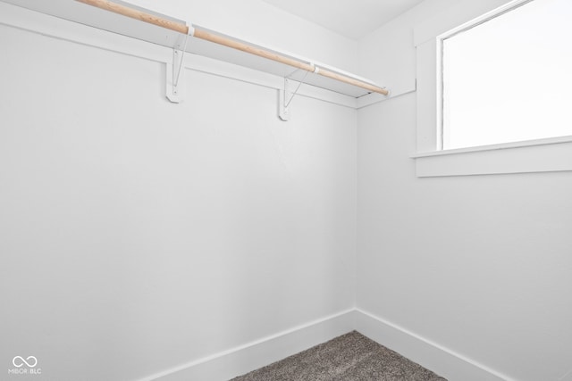 walk in closet with carpet flooring