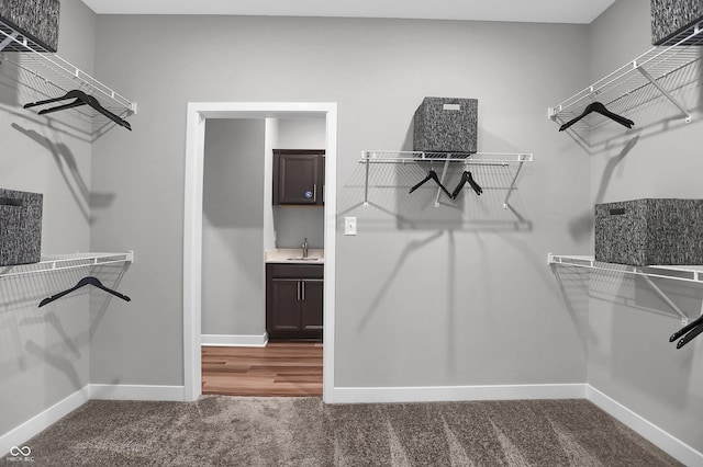 spacious closet with carpet floors and a sink