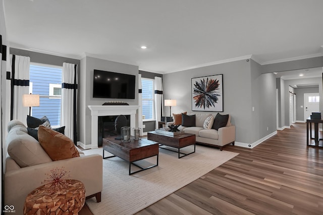 living room featuring a glass covered fireplace, plenty of natural light, baseboards, and wood finished floors