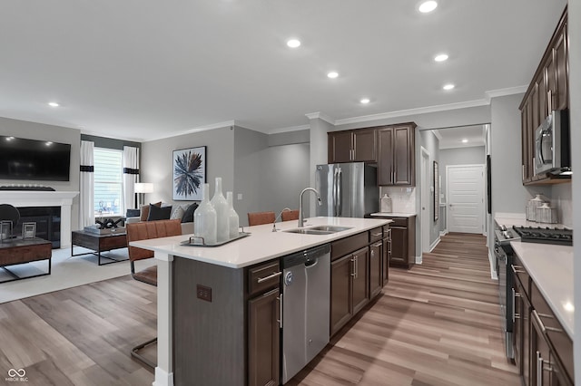 kitchen featuring dark brown cabinetry, stainless steel appliances, a sink, open floor plan, and light countertops