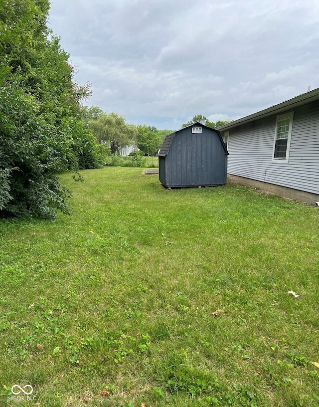 view of yard with a shed