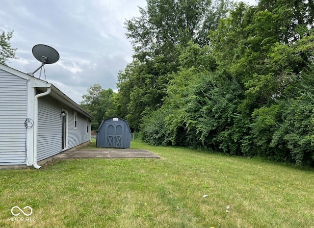 view of yard with a storage unit