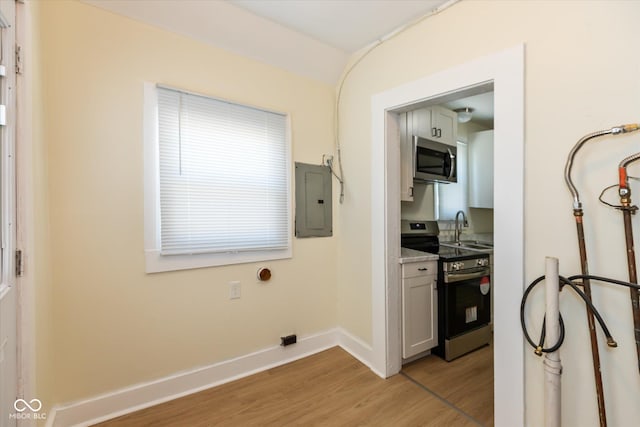 clothes washing area with sink, light hardwood / wood-style flooring, and electric panel