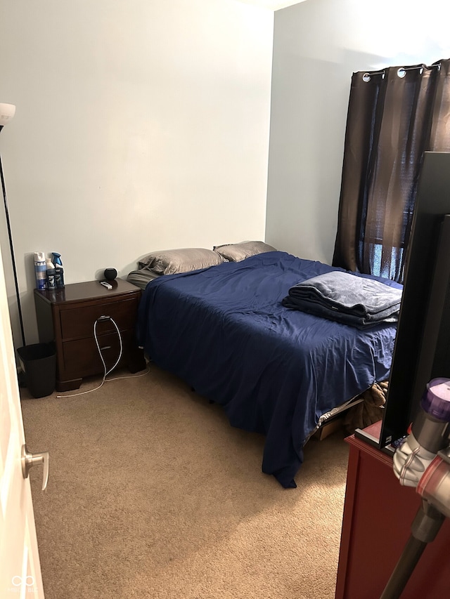 bedroom featuring carpet flooring