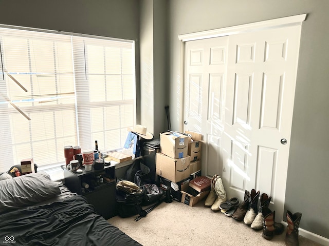 carpeted bedroom featuring a closet