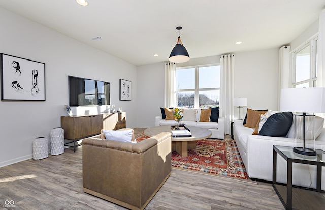 living room featuring hardwood / wood-style flooring