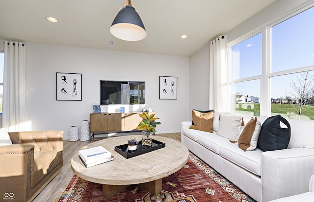 living room with hardwood / wood-style floors