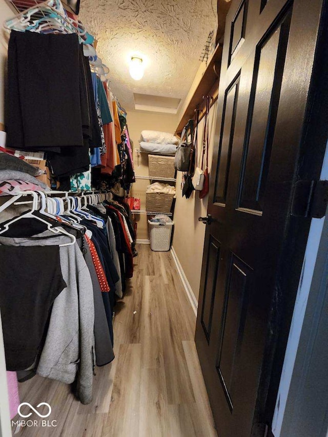 walk in closet with light wood-type flooring